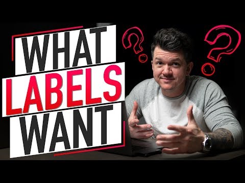 5 Best Ways Record Labels Develop Electronic Artists - Product London